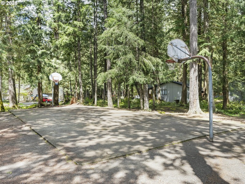 Community Basketball