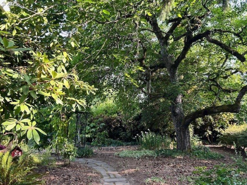 Front Yard