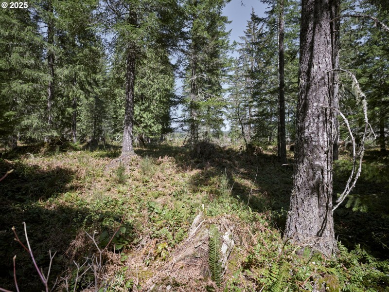 Acreage