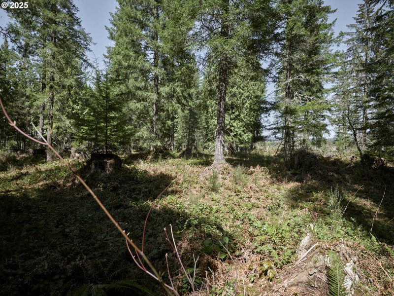 Acreage