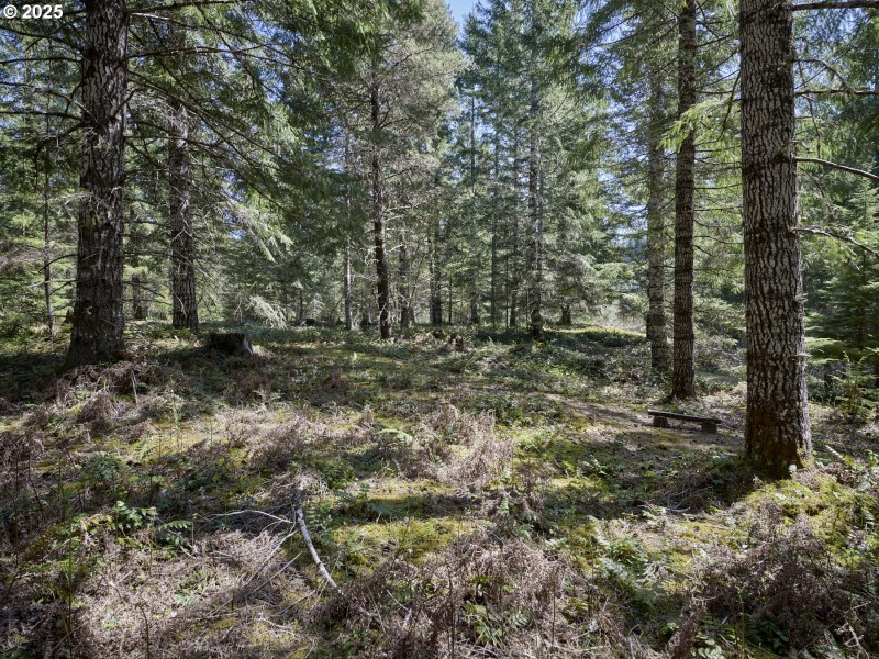 Acreage