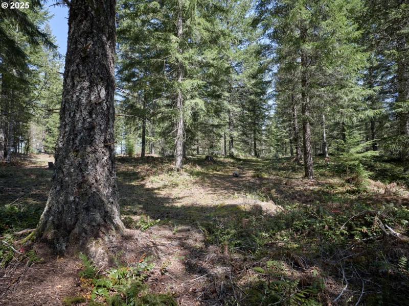 Acreage