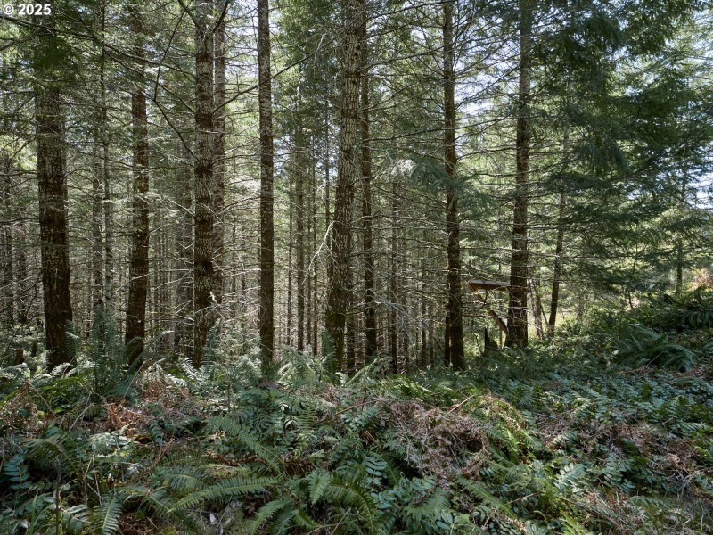 Acreage