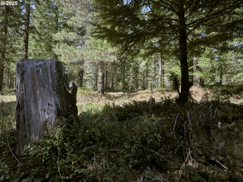 Acreage
