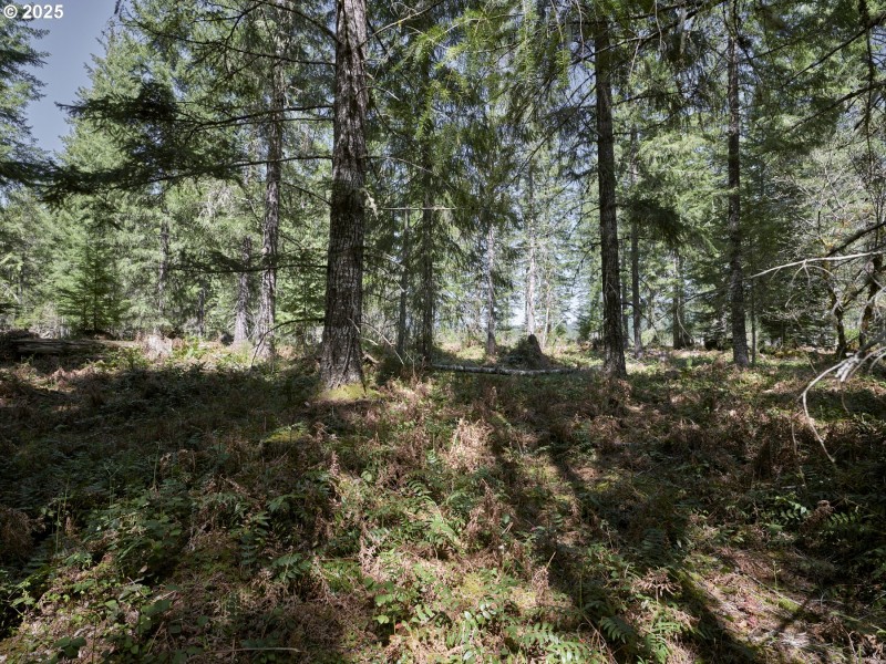 Acreage