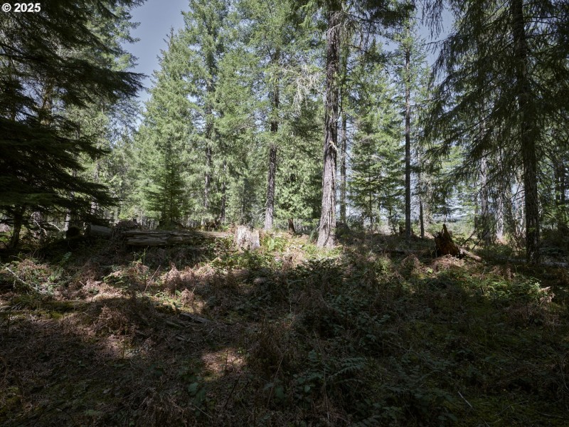 Acreage