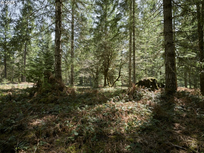 Acreage