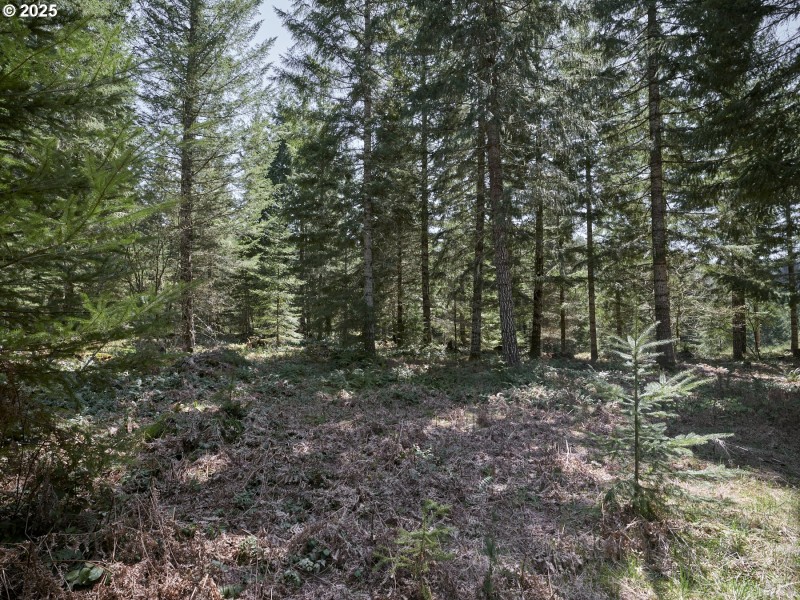 Acreage