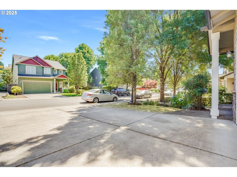 Driveway