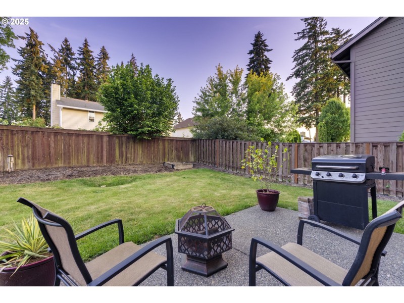 Backyard