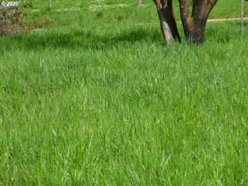 Acreage