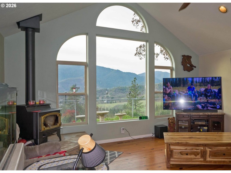 Fireplace Wood Burning Stove/Insert