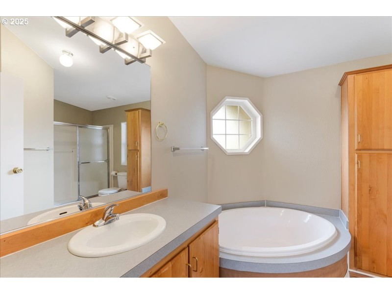 Owner's Suite Bathroom