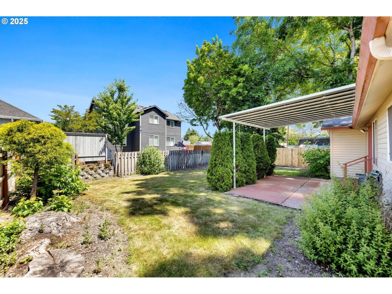 Backyard