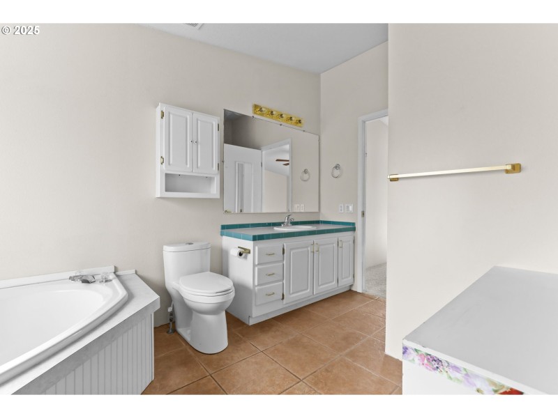 Owner's Suite Bathroom