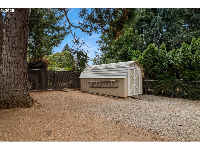 Shed