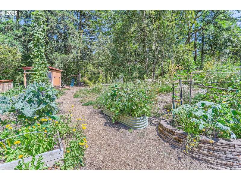 Community Garden