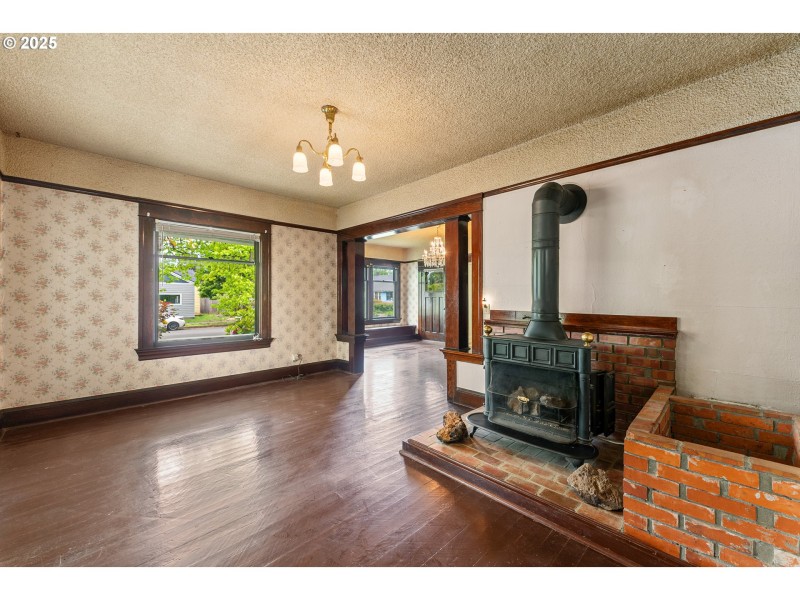 Fireplace Wood Burning Stove/Insert