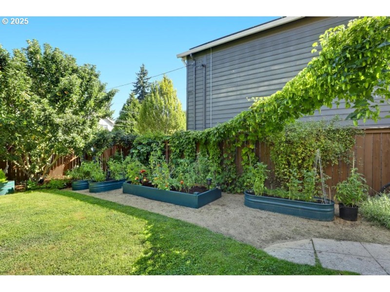 Yard