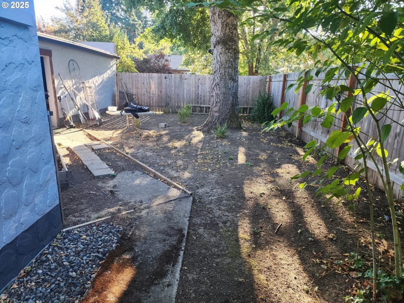 Backyard