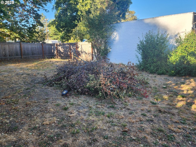 Yard