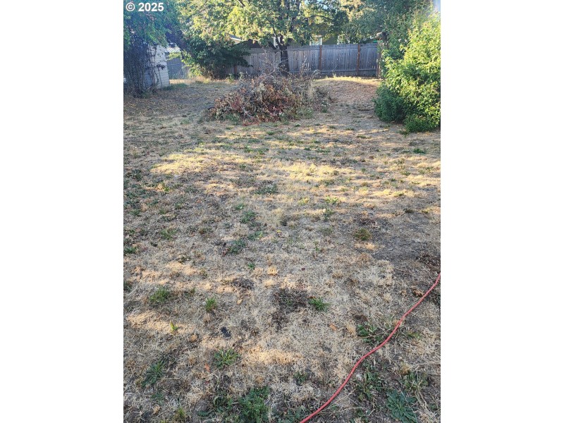 Yard