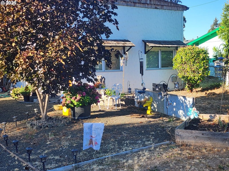 Front Yard