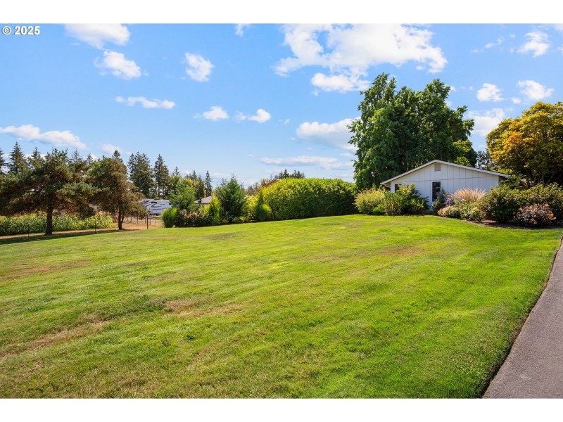 Front Yard