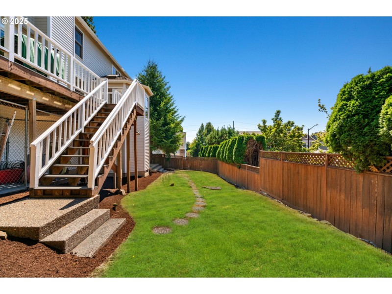 Backyard