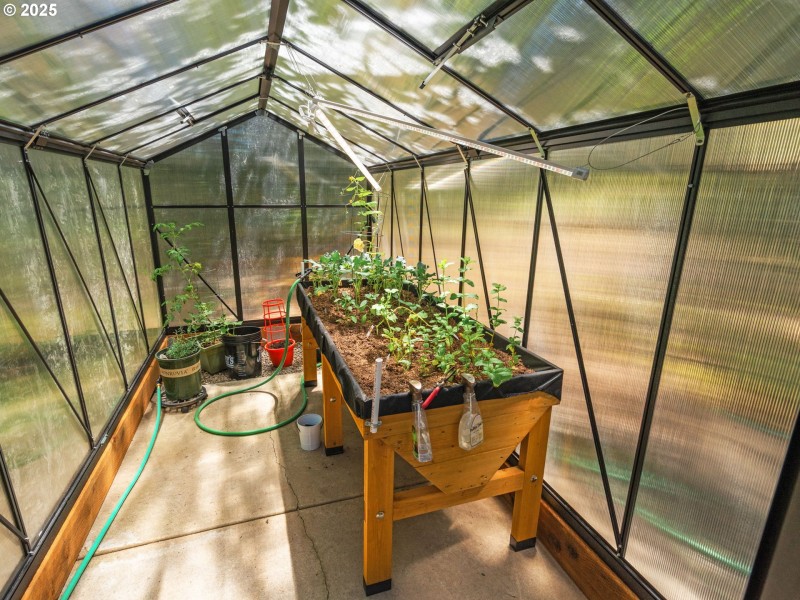 Greenhouse