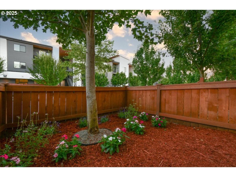 Front Yard