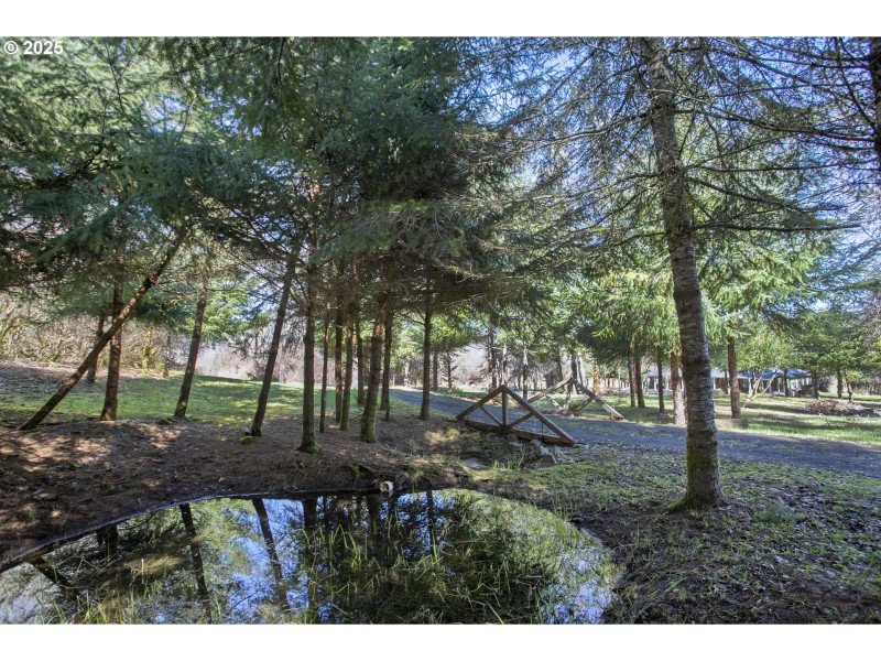 Pond