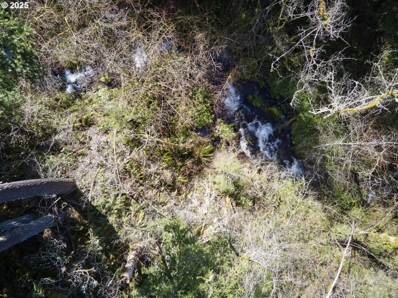 Creek