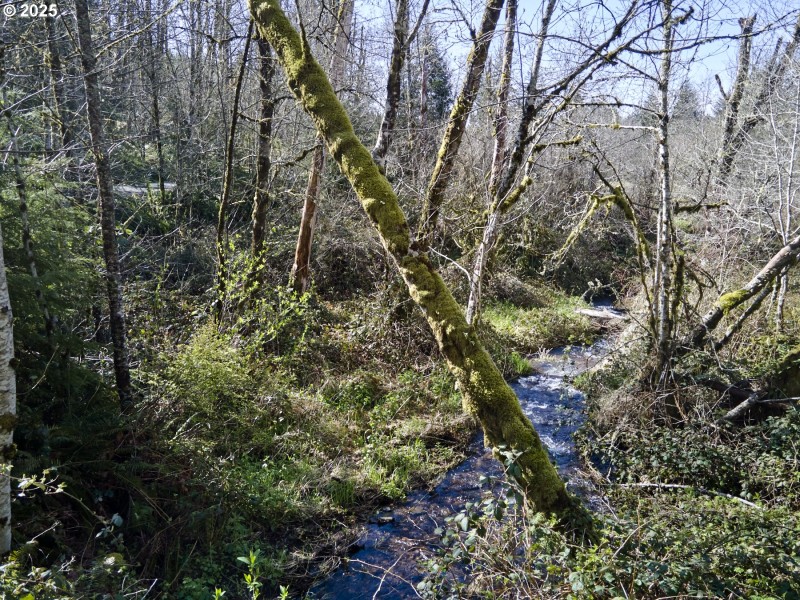 Creek