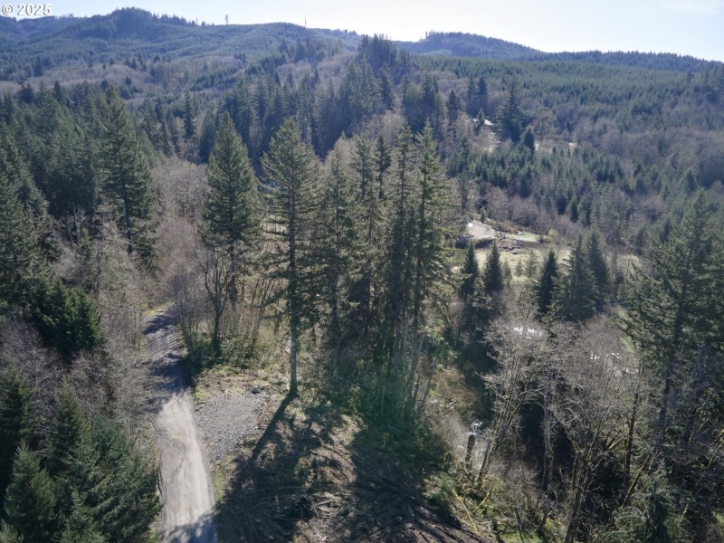 Home Site