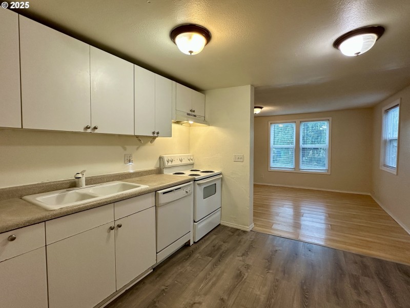 Kitchen/Living Room