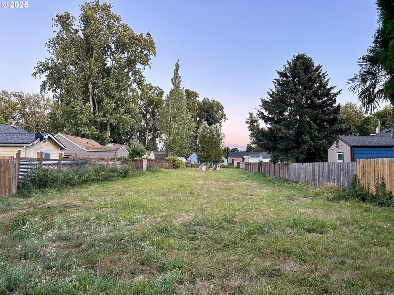 Community Park