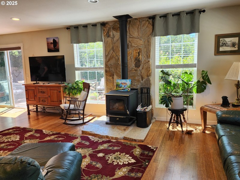Fireplace Wood Burning Stove/Insert