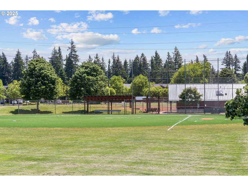 Community Park