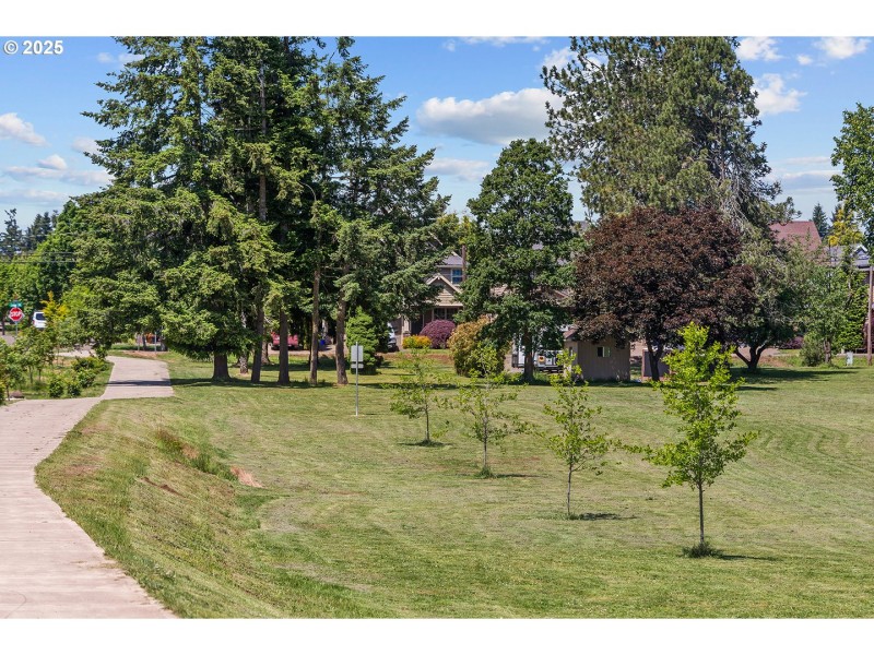 Community Park