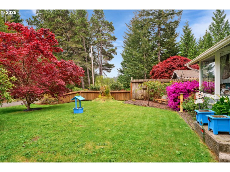 Front Yard