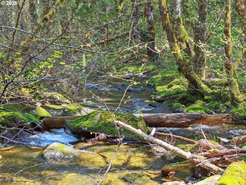 Creek