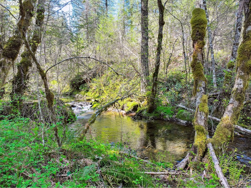 Creek