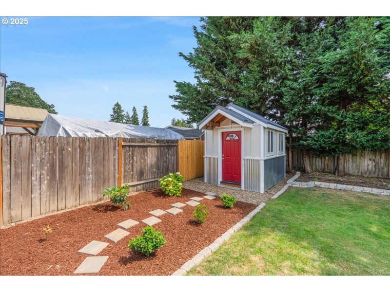 Backyard