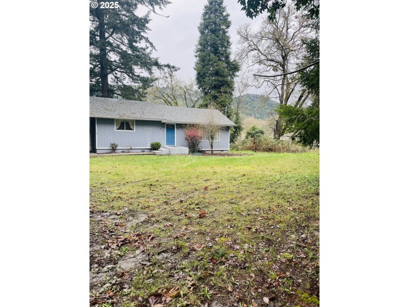 Front Yard
