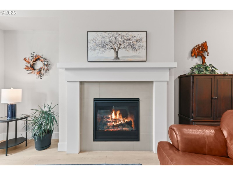 Fireplace Gas