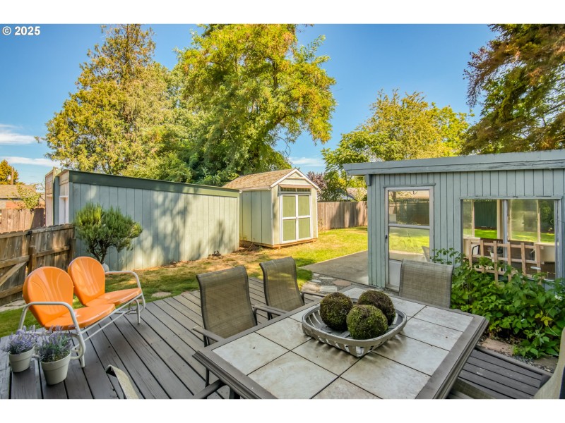 Backyard